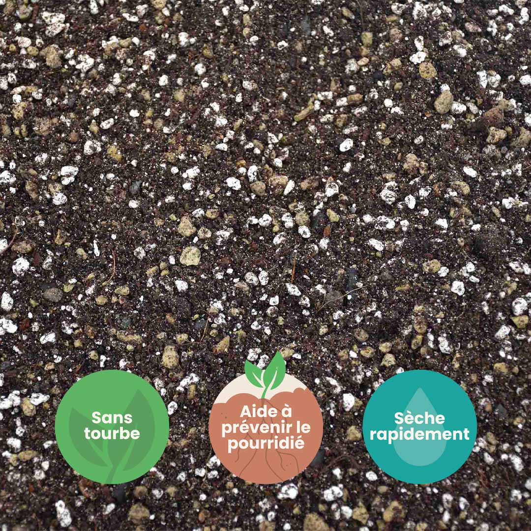 cacti&succulent_productafbeelding_fr_usp_icons