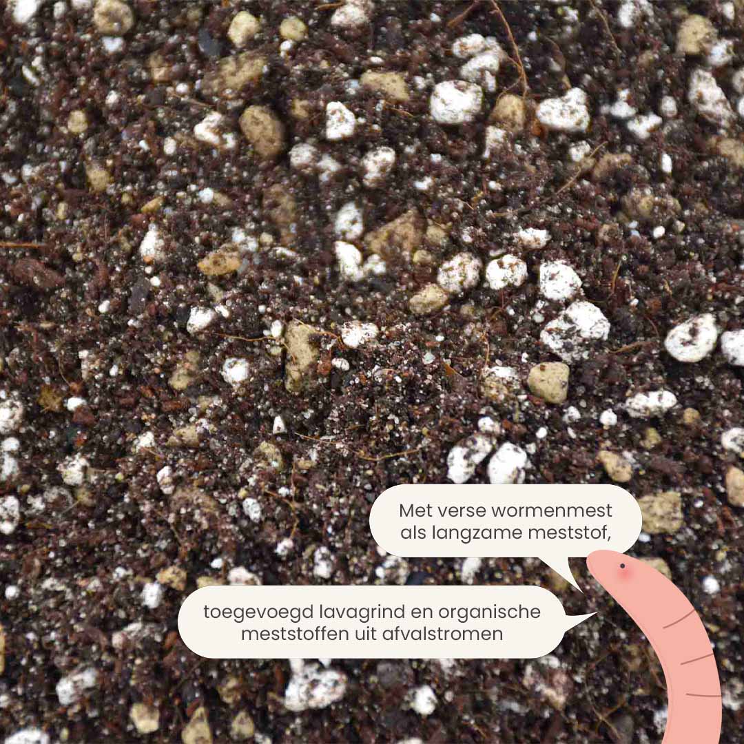 cacti&succulent_productafbeelding_nl_fertiliser