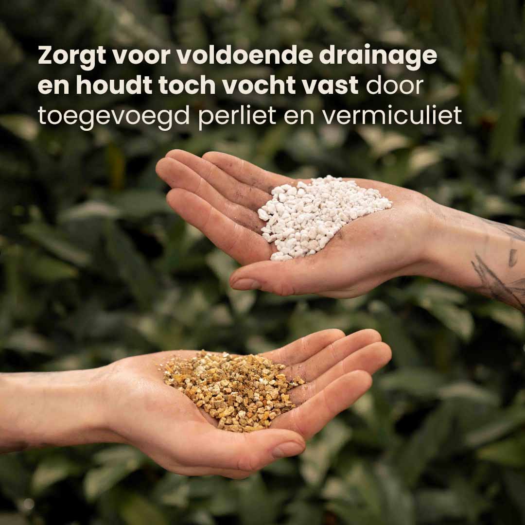 calathea&maranta_productafbeelding_nl_ingredients