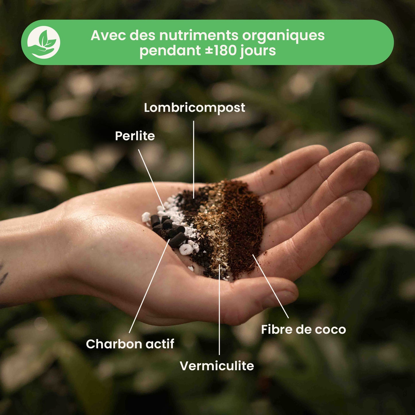 calathea&marantamix_ingredients_fr