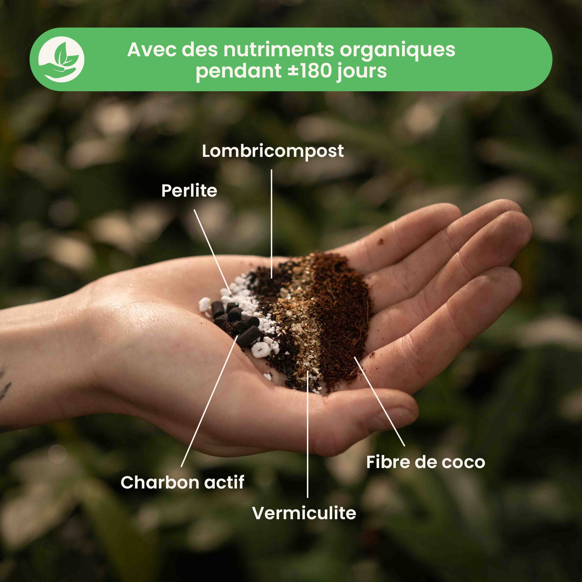 calathea&marantamix_ingredients_fr