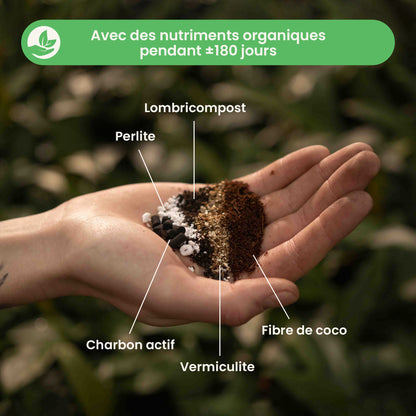 calathea&marantamix_ingredients_fr