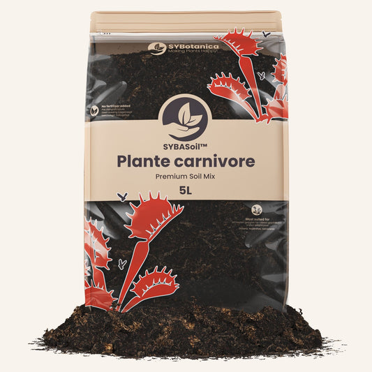 Terreau plante carnivore