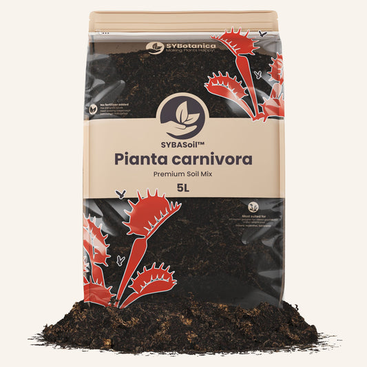 Terriccio per pianta carnivora