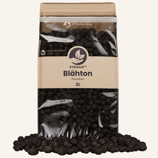 Blähton