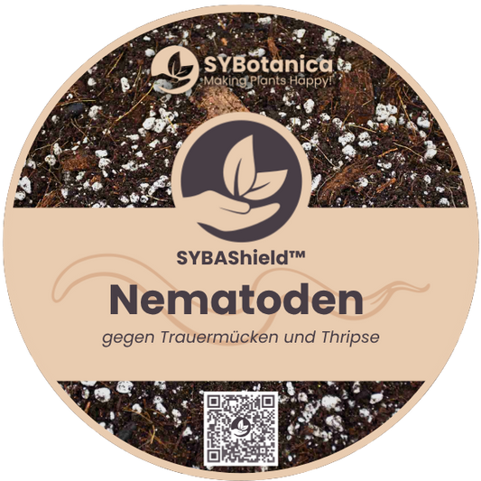 Nematoden gegen Trauermücken