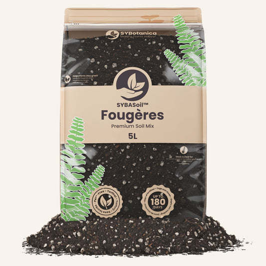 Terreau fougères