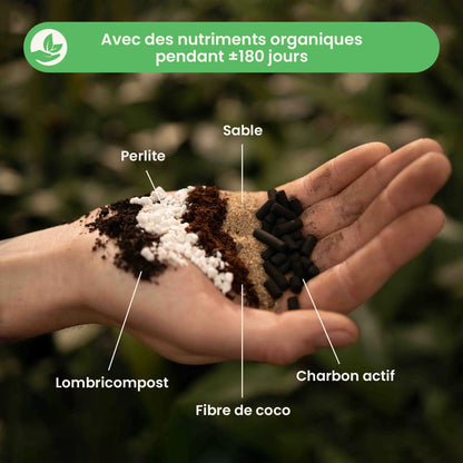 fernmix_ingredients_fr