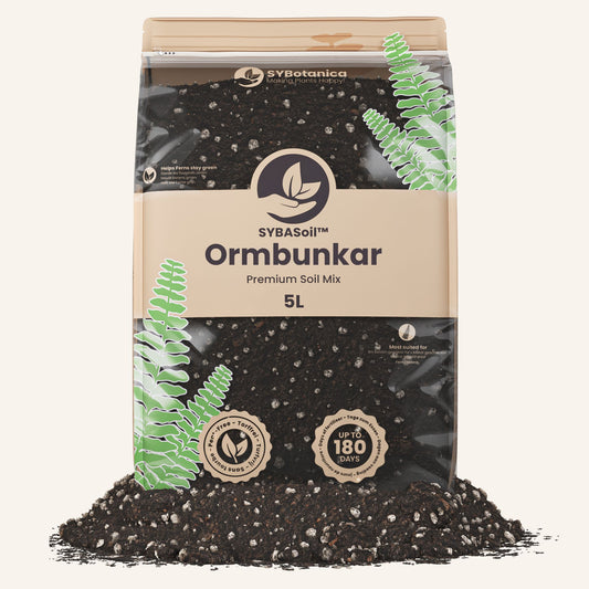 Ormbunkar jord
