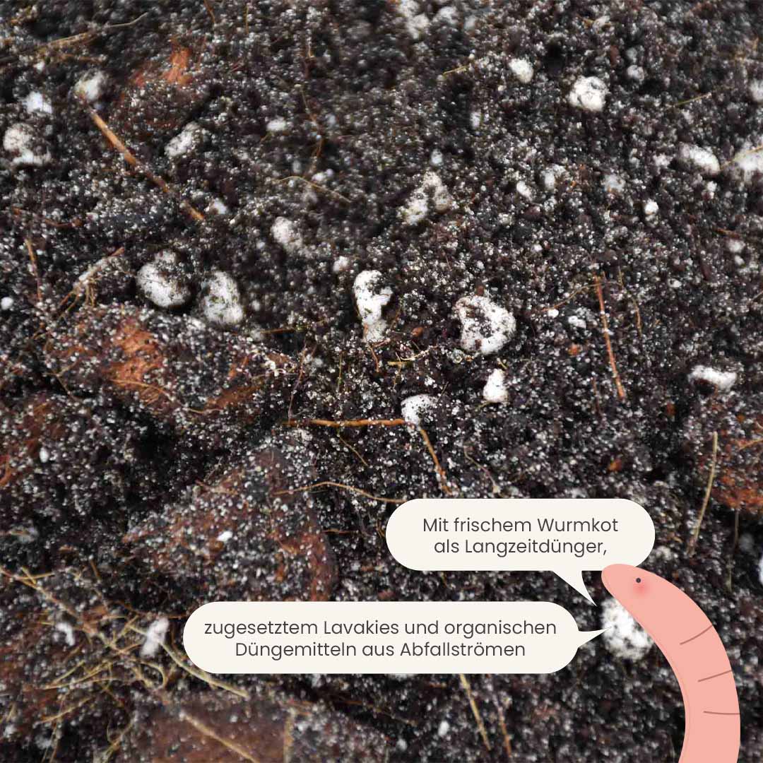 ficus_productafbeelding_du_fertiliser
