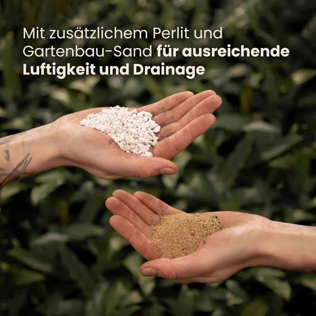 ficus_productafbeelding_du_ingredients
