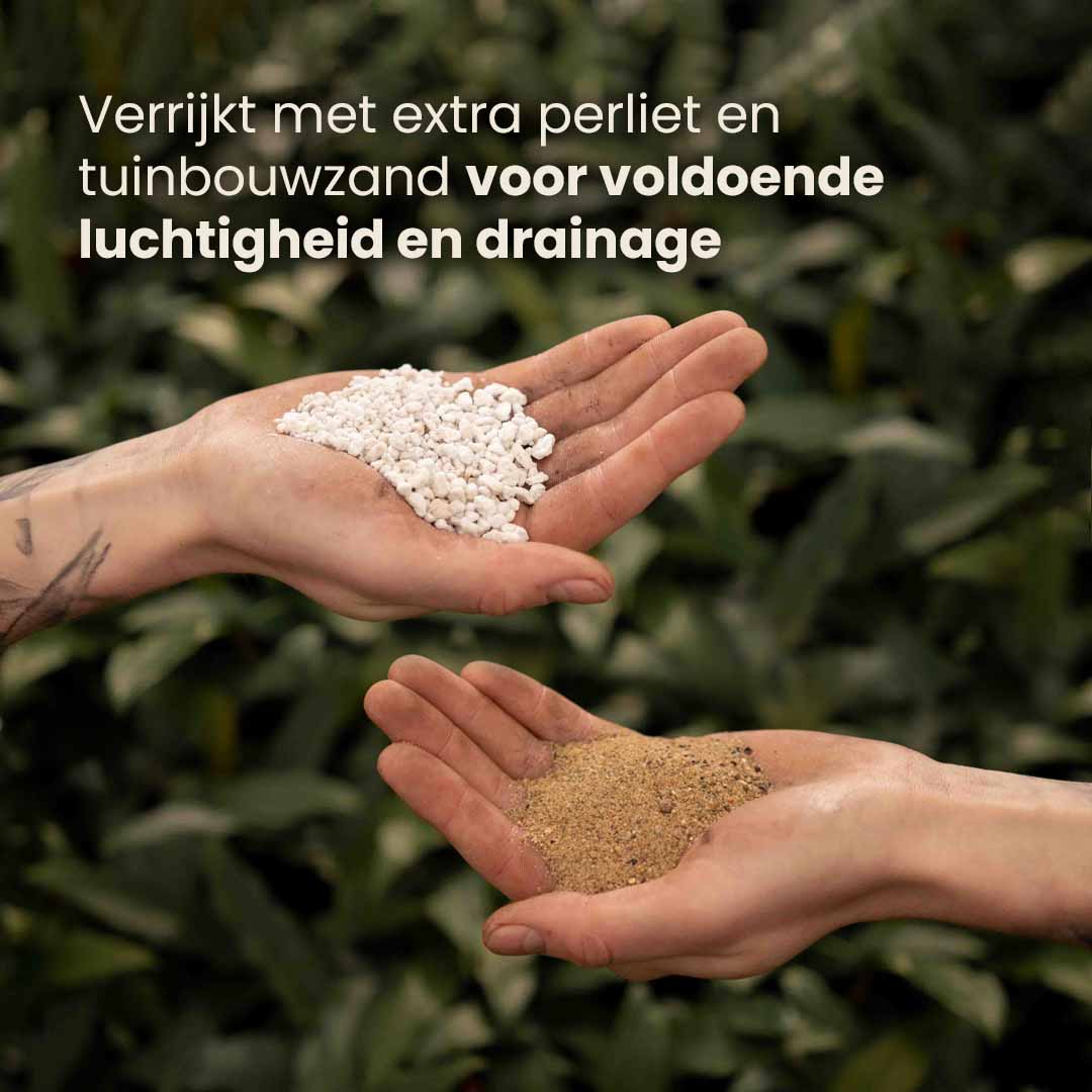 ficus_productafbeelding_nl_ingredients