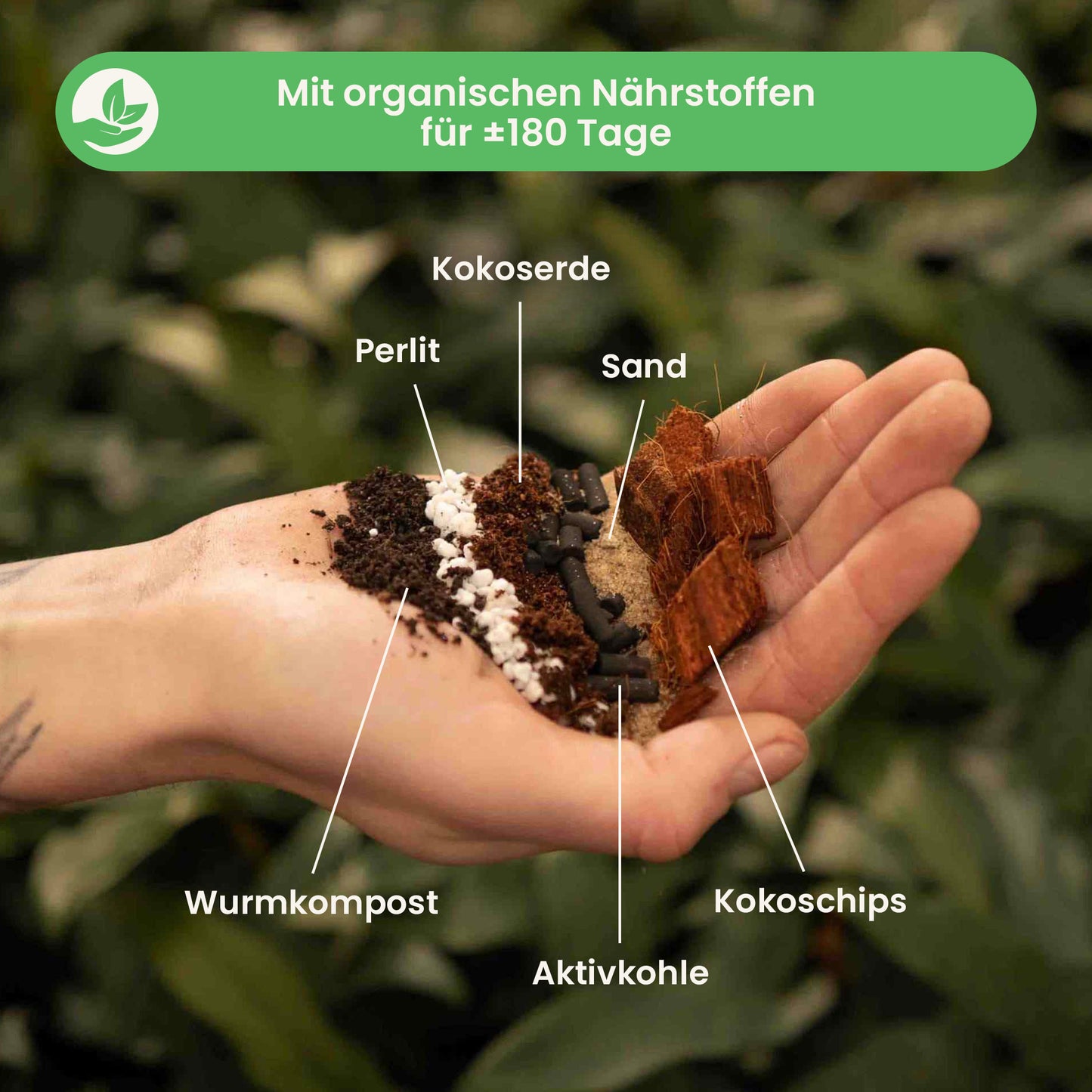 ficusmix_ingredients_du