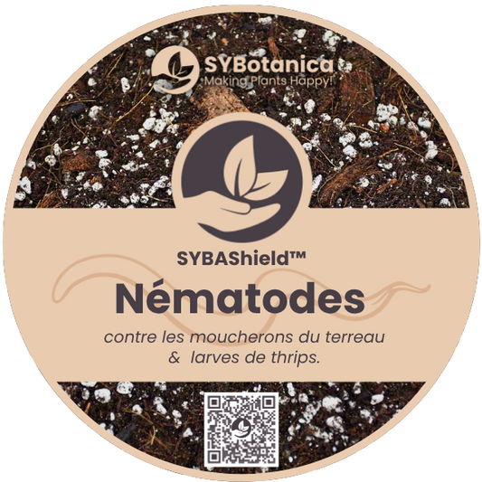 Nématodes contre les moucherons du terreau