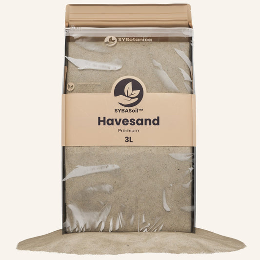 Havesand