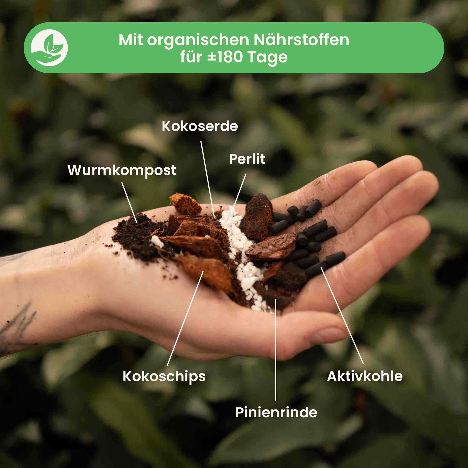 hoyamix_ingredients_du