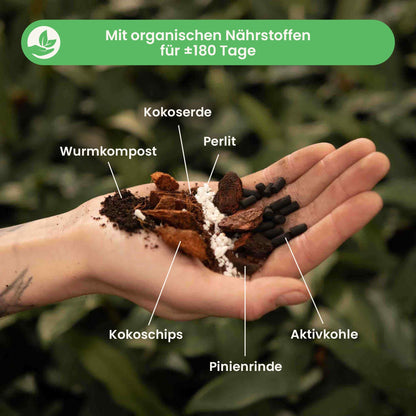 hoyamix_ingredients_du