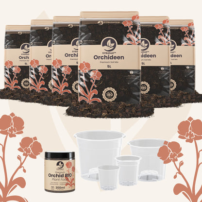 Willkommens-Bundle Orchideen