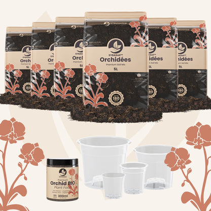 Pack de bienvenue orchidées