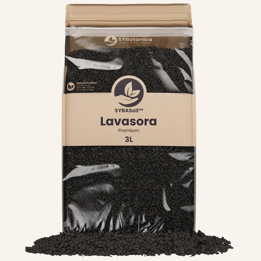 Lavasora