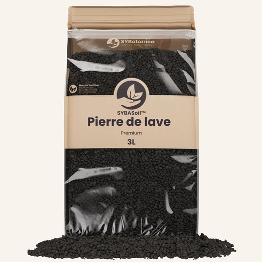 Pierre de lave