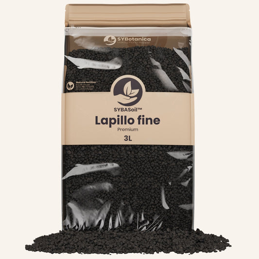 Lapillo fine