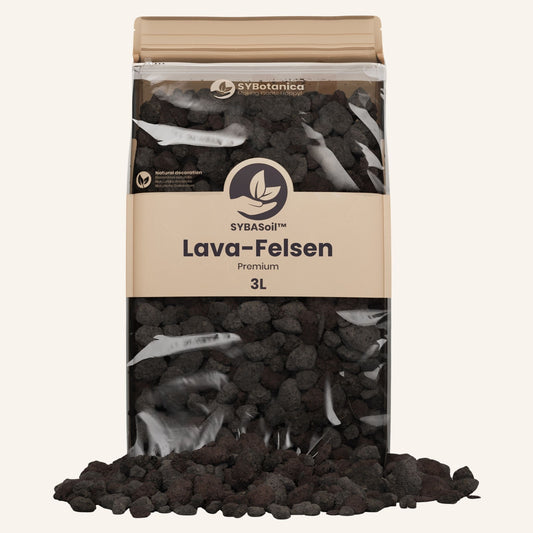 Lava-Felsen