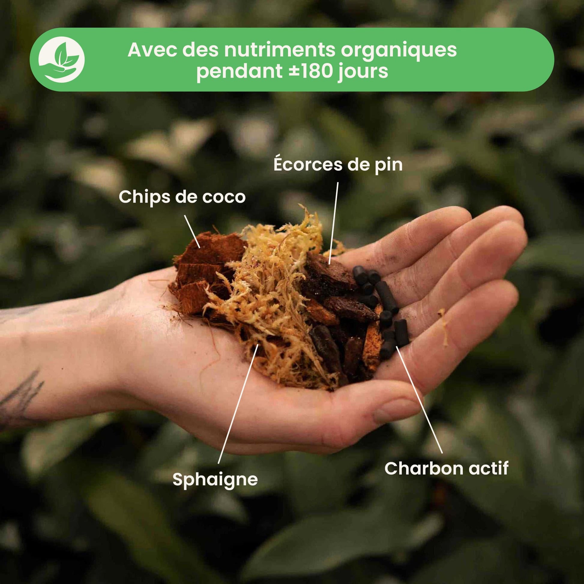 ly_ly_orchidmix_ingredients_fr_1709906356_1764843525.jpg