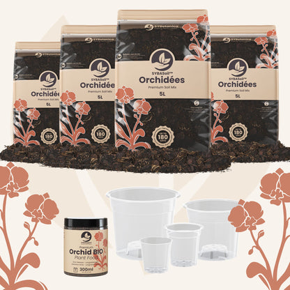 Pack de bienvenue orchidées