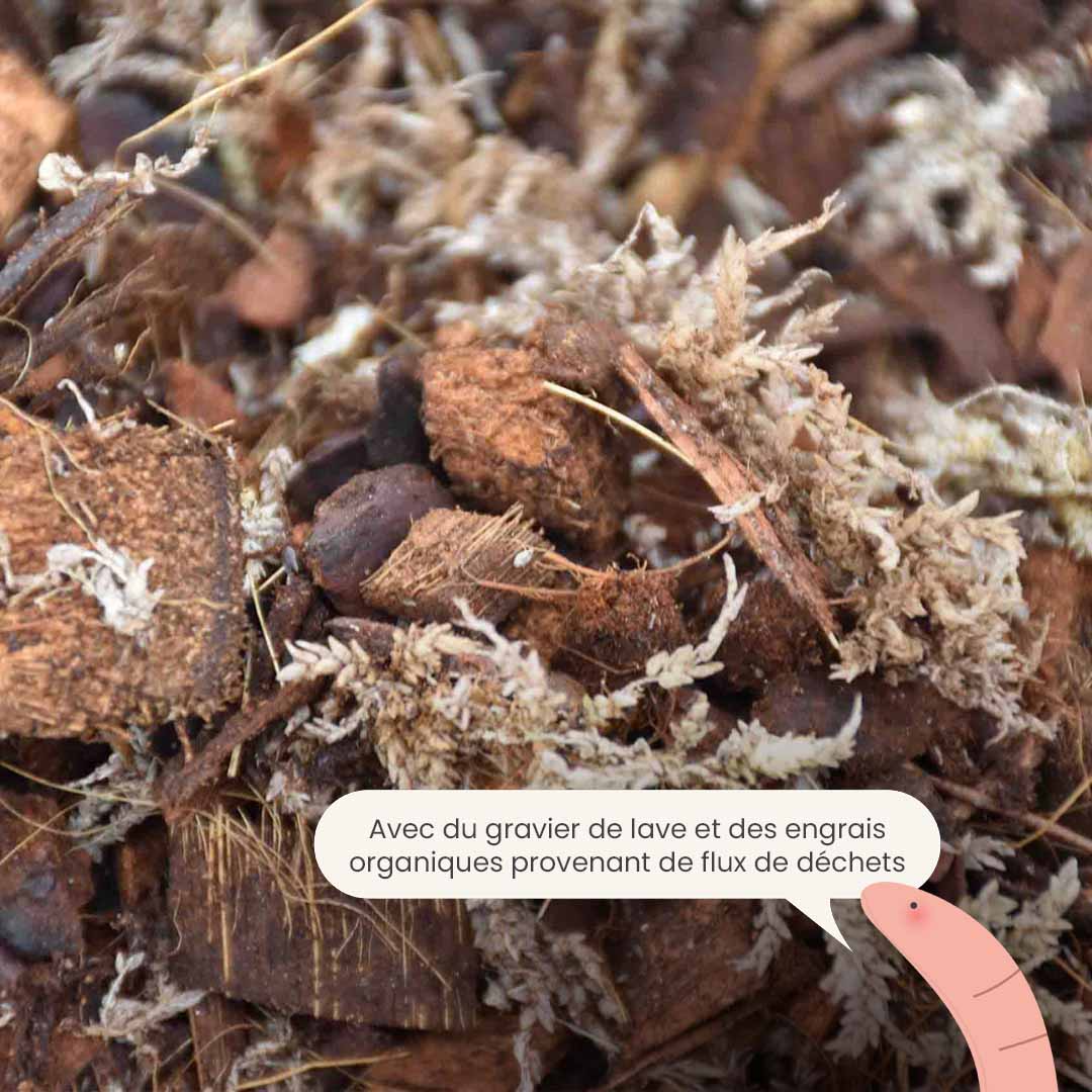orchid_productafbeelding_fr_fertiliser