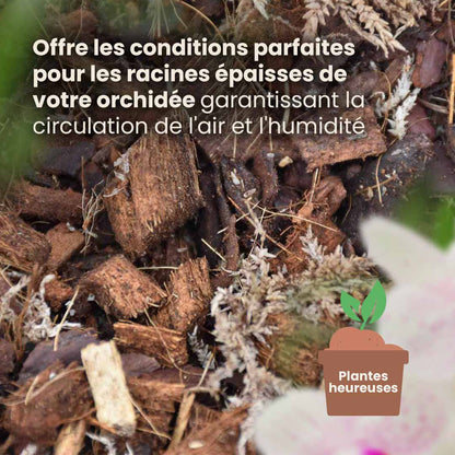 orchid_productafbeelding_fr_structure