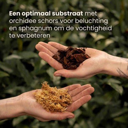 orchid_productafbeelding_nl_ingredients