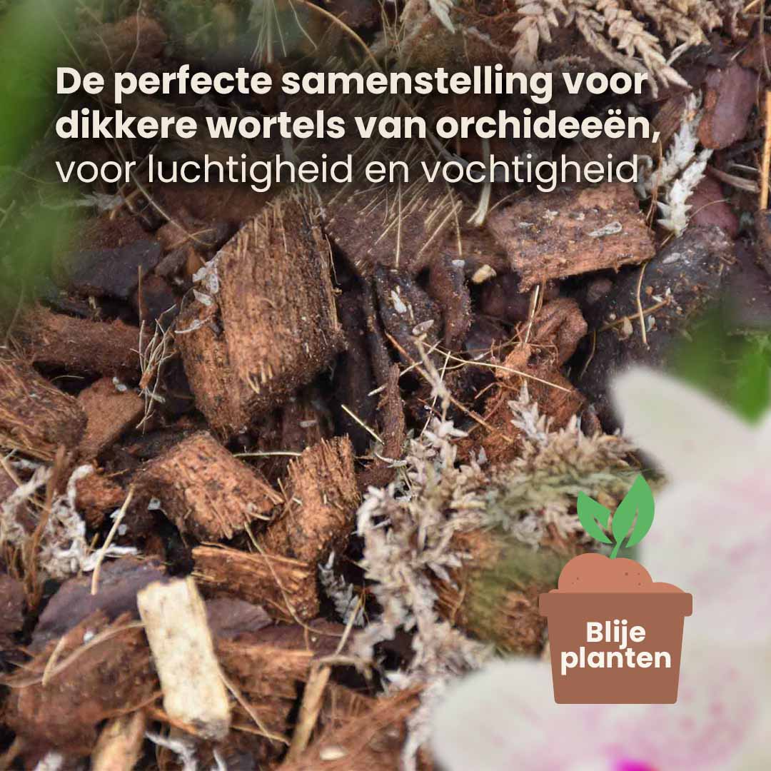 orchid_productafbeelding_nl_structure