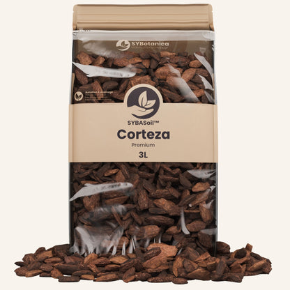 Corteza