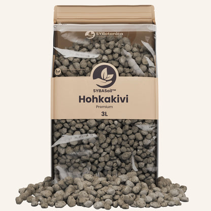 Hohkakivi