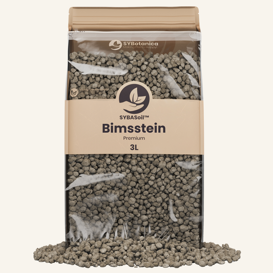 Bimsstein