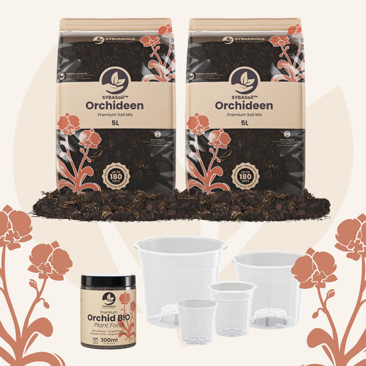 Willkommens-Bundle Orchideen