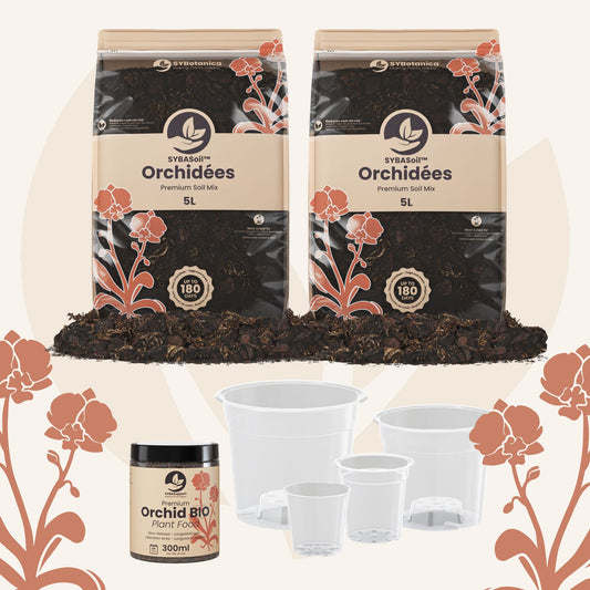 Pack de bienvenue orchidées
