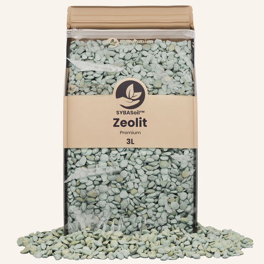 Zeolit