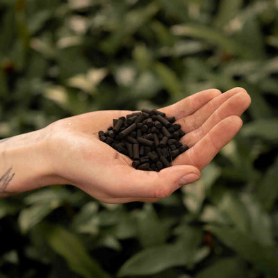 Activated carbon | 3L