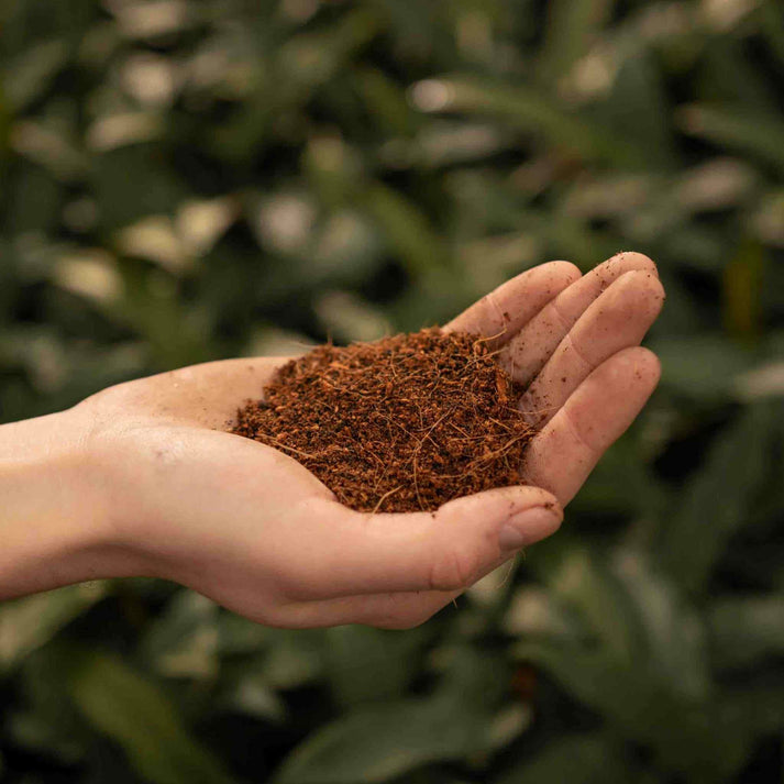 Coco coir 3L9L SYBASoil Coco peat Coco fibre Peatfree soil