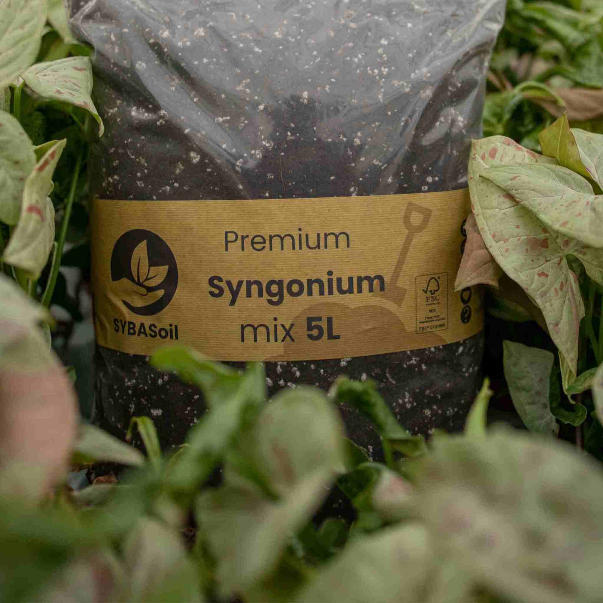 Syngonium Soil Mix 515L SYBASoil Arrowhead vine soil 6 Months of nutrients Peatfree